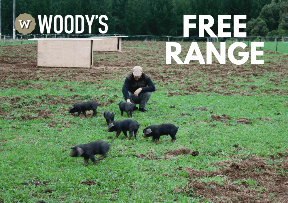 The Importance of Free-Range Farming
